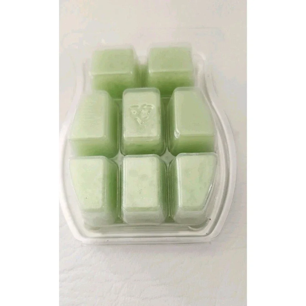 Scentsy Lime & Kiwi Cantaloupe Wax Bar Fragrance 3.2 fl oz Rare NIB